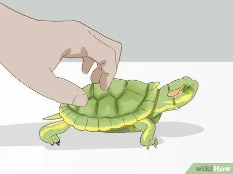 Imagen titulada Care for a Red Eared Slider Turtle Step 19