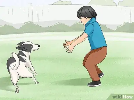 Imagen titulada Hug a Dog Step 10
