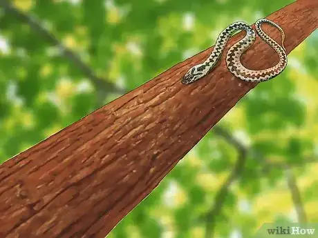 Imagen titulada Prevent Snake Bites Step 4