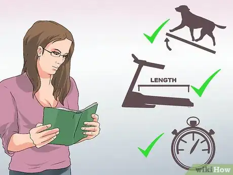 Imagen titulada Get a Dog to Use a Treadmill Step 9