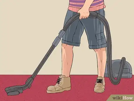 Imagen titulada Reduce the Dust Mite Population in Your Home Step 3