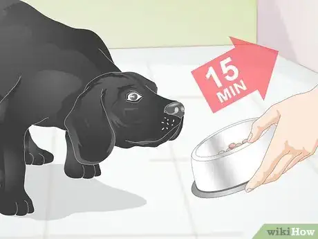 Imagen titulada Create a Feeding Routine for Your Dog Step 3