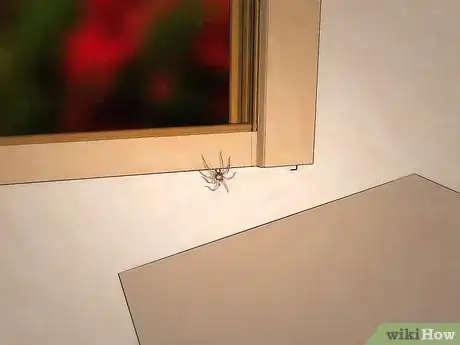 Imagen titulada Get Spiders Out of Your House Without Killing Them Step 4