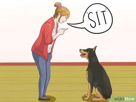 Imagen titulada Train a Doberman Pinscher Step 9