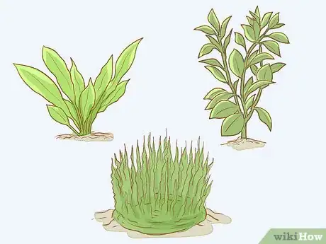 Imagen titulada Take Care of Baby Water Turtles Step 11