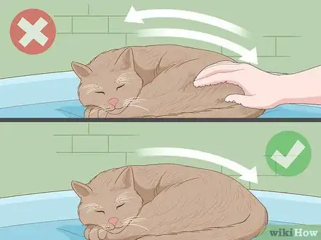 Imagen titulada Pet a Cat Step 12