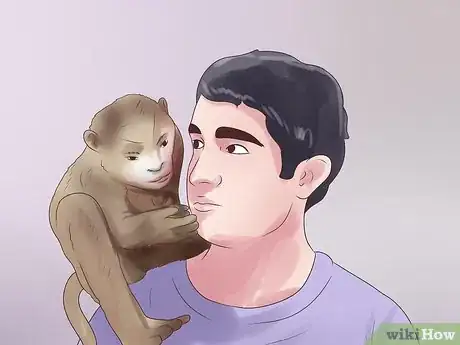 Imagen titulada Take Care of a Monkey Step 2