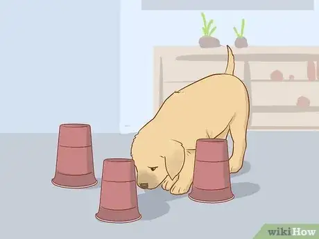 Imagen titulada Play With Your Puppy Step 9
