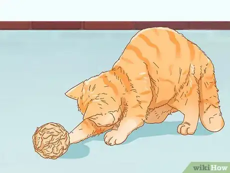 Imagen titulada Give Catnip to Your Cat Step 9