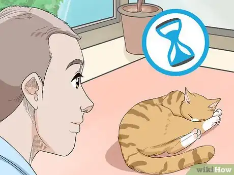 Imagen titulada Get Motor Oil Off a Cat Step 8