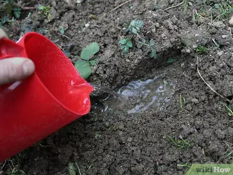 Imagen titulada Make Mud Step 15