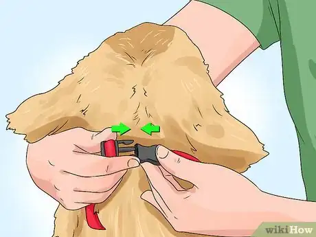Imagen titulada Put a Gentle Leader on a Dog Step 5