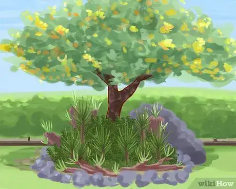 Imagen titulada Make a Tropical Style Garden Step 9