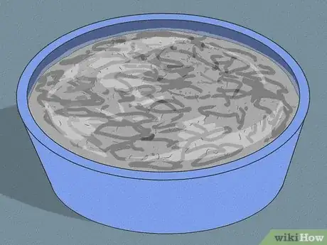 Imagen titulada Prepare Vermicompost Step 7