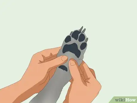 Imagen titulada Pet a Dog Step 16