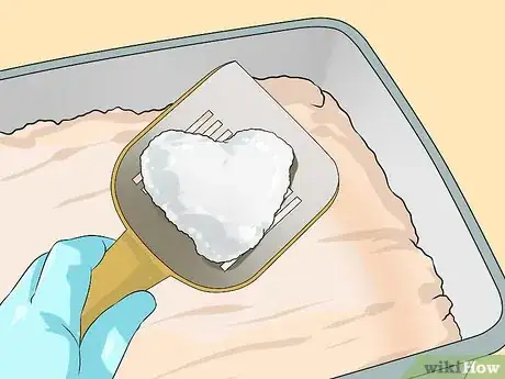 Imagen titulada Clean a Litter Box Step 4