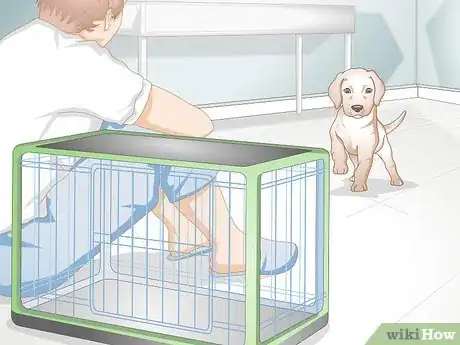 Imagen titulada Get Your Puppy To Sleep in Its Own Bed Step 6