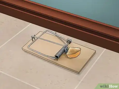 Imagen titulada Get Rid of Rodents Naturally Step 1