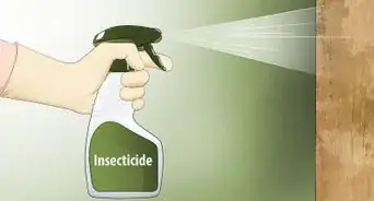 eliminar abejas carpinteras