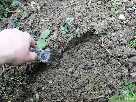 Imagen titulada Make Mud Step 14