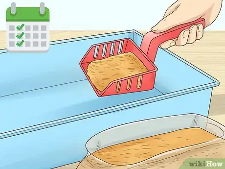 Imagen titulada Choose a Pet Mouse Step 13