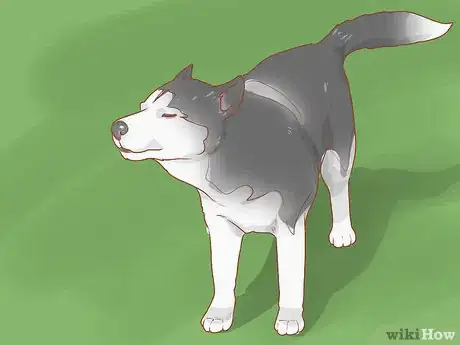 Imagen titulada Talk to a Dog Step 9