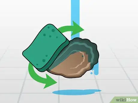 Imagen titulada Open Oysters Step 1