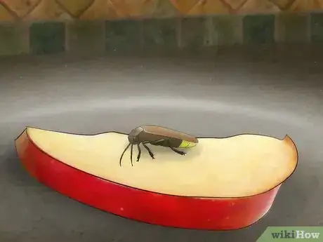 Imagen titulada Catch a Firefly Step 10