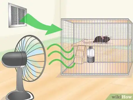Imagen titulada Spot Common Signs of Illness in Mice Step 13