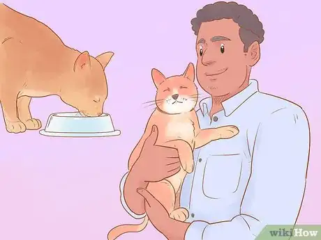 Imagen titulada Administer Insulin to a Cat Step 15