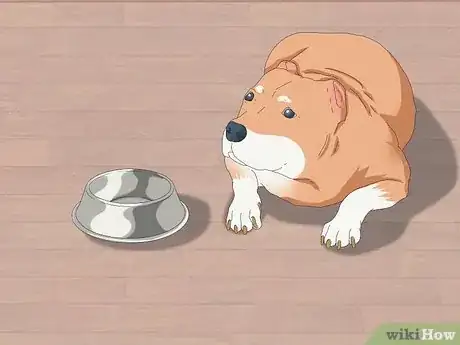 Imagen titulada Feed an American Bully Puppy Step 7