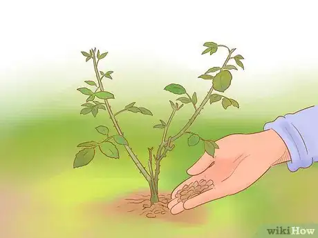 Imagen titulada Keep Dogs off Lawn Step 3