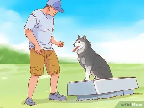 Imagen titulada Talk to a Dog Step 4
