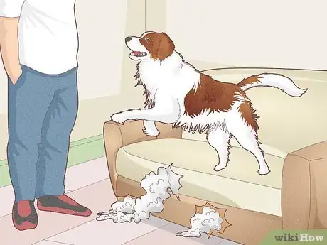 Imagen titulada Stop a Dog's Unwanted Behavior Step 14
