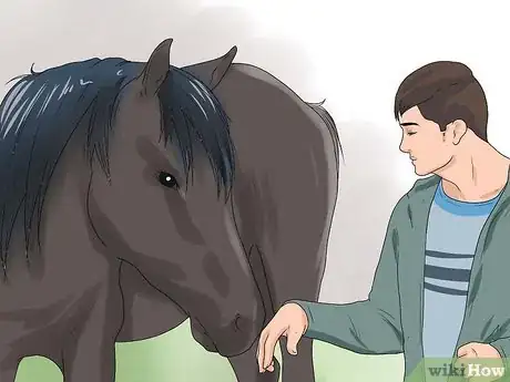 Imagen titulada Approach Your Horse Step 7