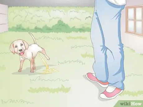 Imagen titulada Get Your Puppy To Sleep in Its Own Bed Step 8