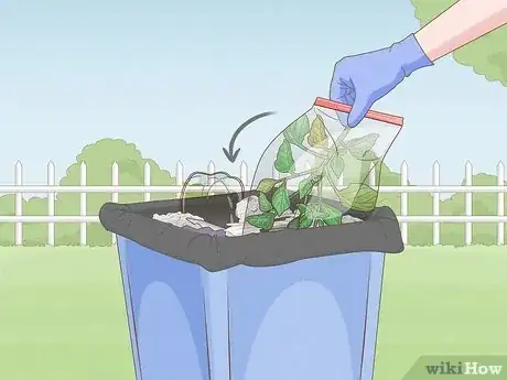 Imagen titulada Grow Bell Peppers Step 14