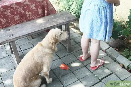 Imagen titulada Stop a Dog from Jumping Step 3