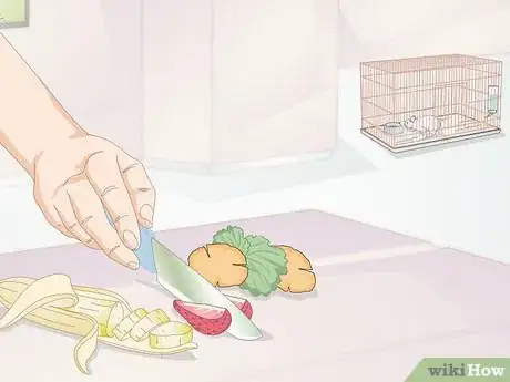 Imagen titulada Keep Flies out of an Indoor Pet Cage Step 7