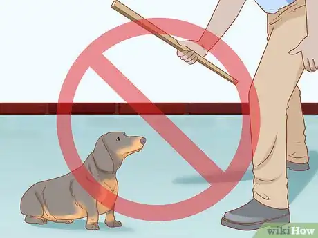 Imagen titulada Treat Your Dog Step 11