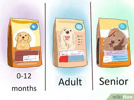 Imagen titulada Care for a Toy Poodle Step 1