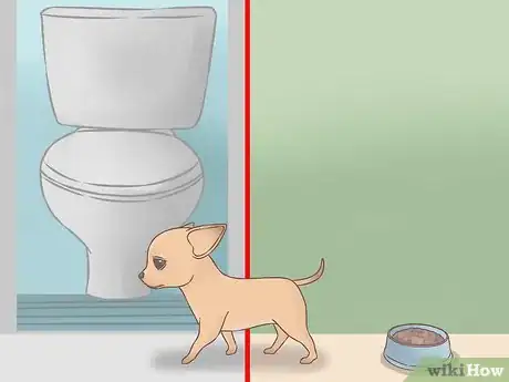 Imagen titulada Care for Your Chihuahua Puppy Step 10