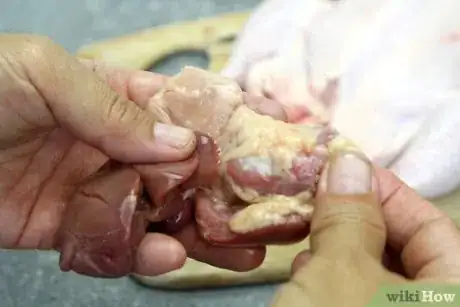 Imagen titulada Clean Chicken Gizzards Step 7