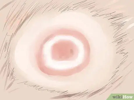 Imagen titulada Check a Dog for Ringworm Step 12