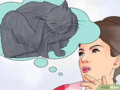 Imagen titulada Treat Ear Haematomas in Cats Step 3