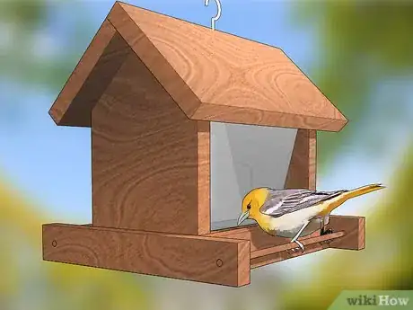 Imagen titulada Get Rid of Gypsy Moths Step 1