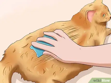 Imagen titulada Clean Your Cat When He Can't Do It Himself Step 6
