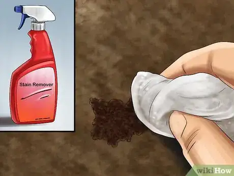 Imagen titulada Steam Clean Carpet Step 4