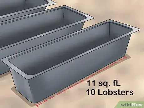Imagen titulada Create Lobster Farms Step 4