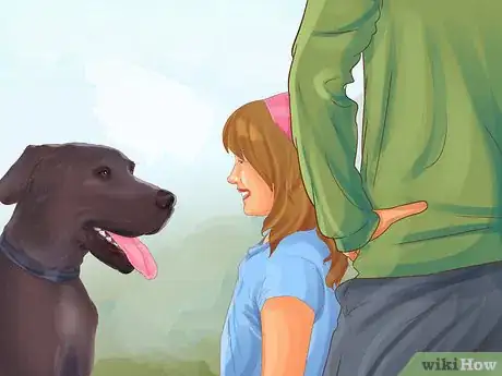Imagen titulada Identify a Great Dane Step 10